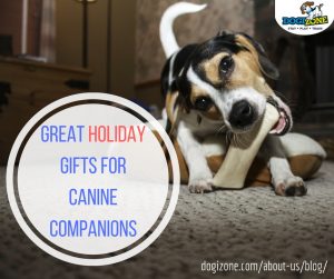 great holiday gifts for your dog