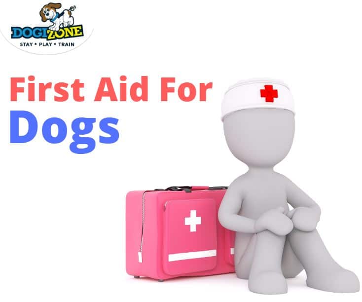 First Aid for Dogs DogiZone