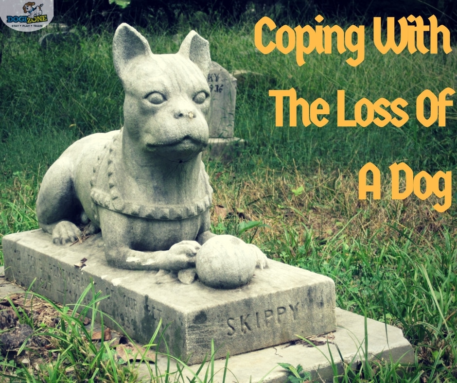Loss of a Dog