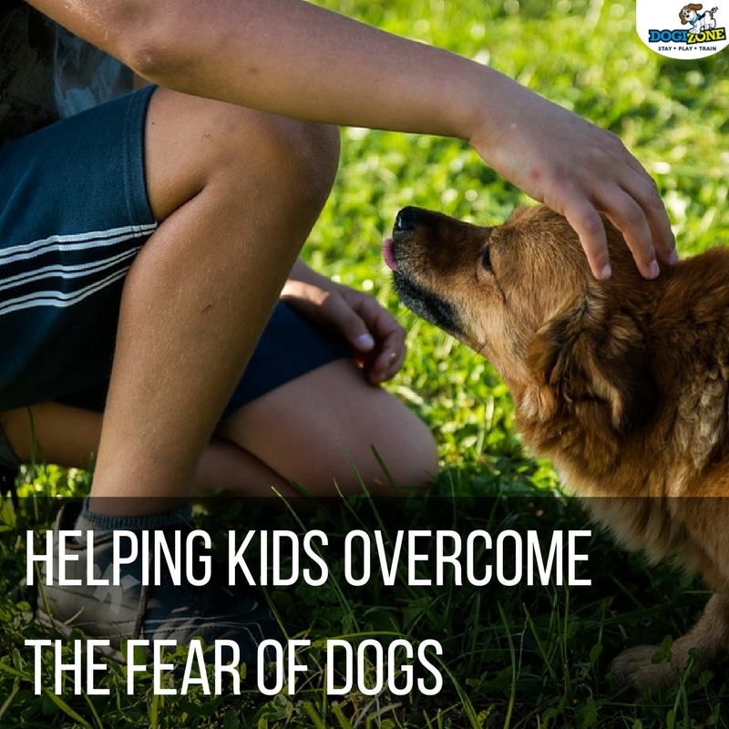 how to help kids overcome the fear of dogs