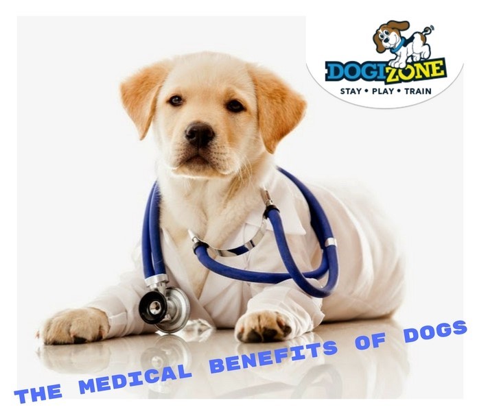 medical benefits of dogs