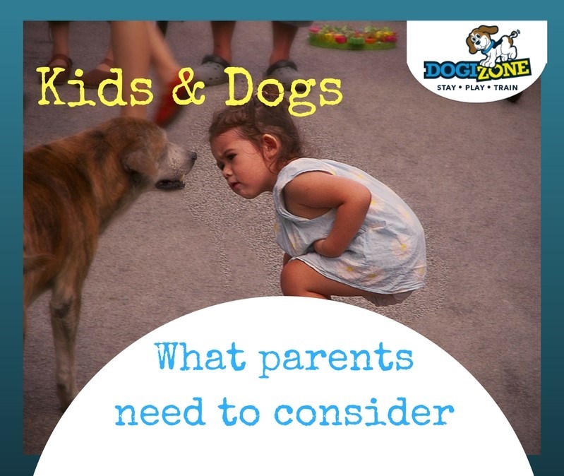 how to help kids adjust to a dog