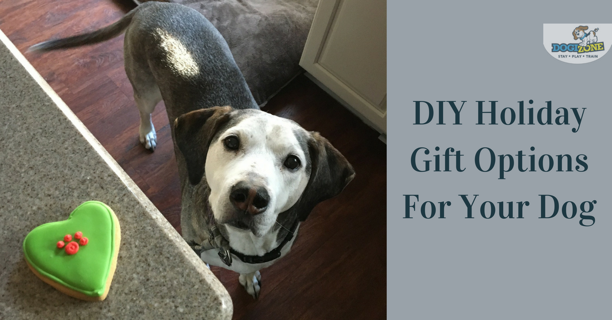 DIY dog gifts