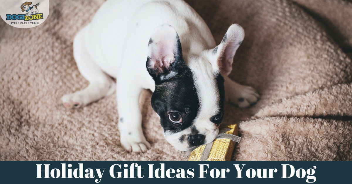 holiday gift ideas