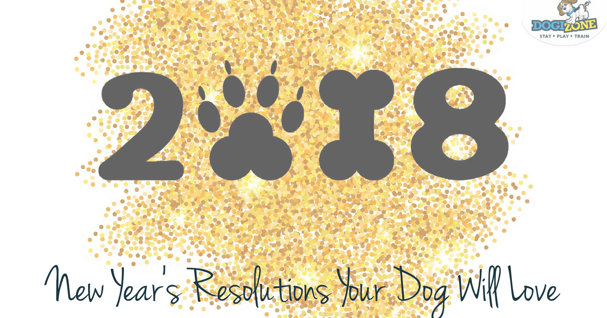 new year's resolutions for dogs