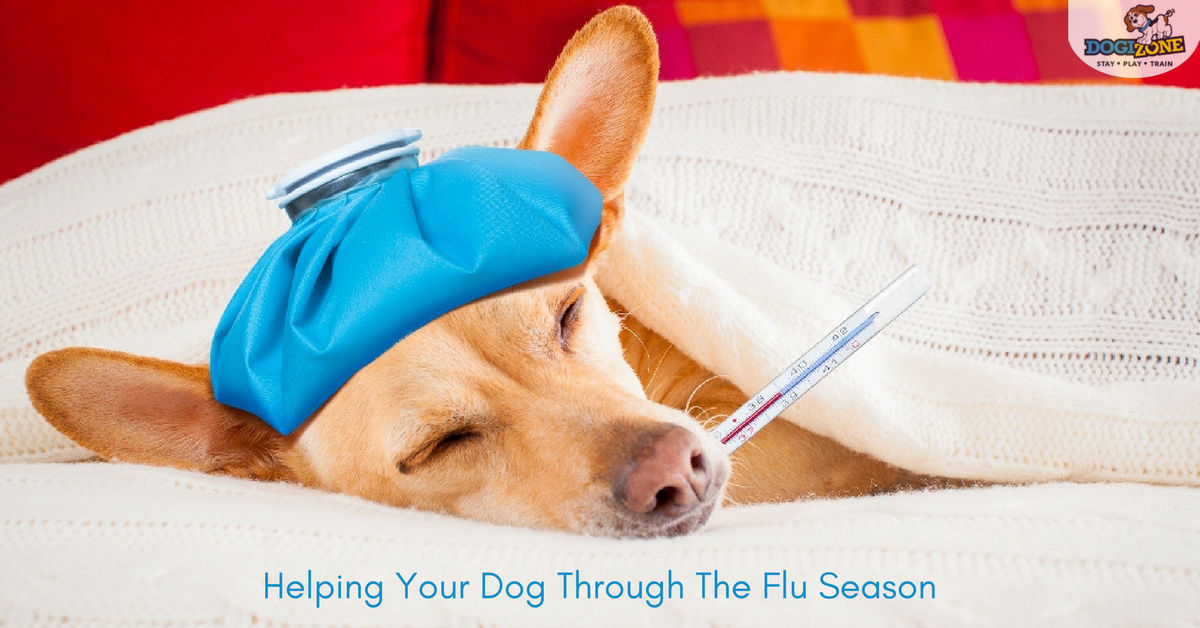 flu season