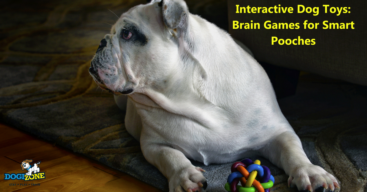 Interactive Dog Toys: Brain Games for Smart Pooches - DogiZone