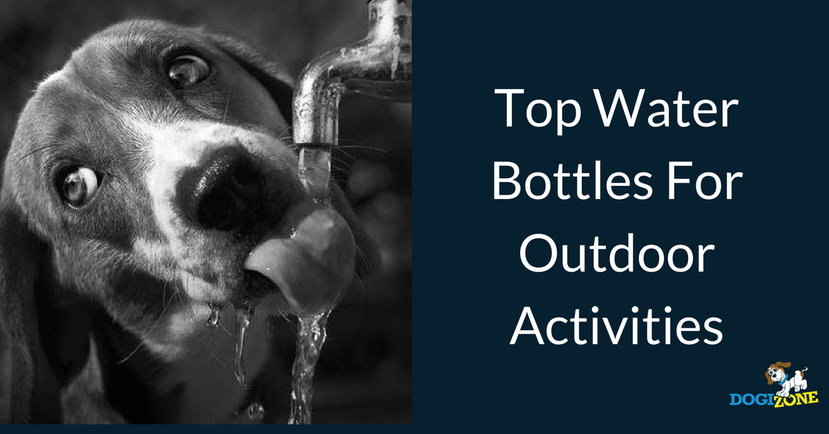 water bottles for dogs