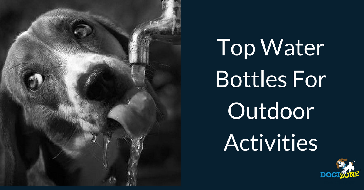 water bottles for dogs water bottles for dogs