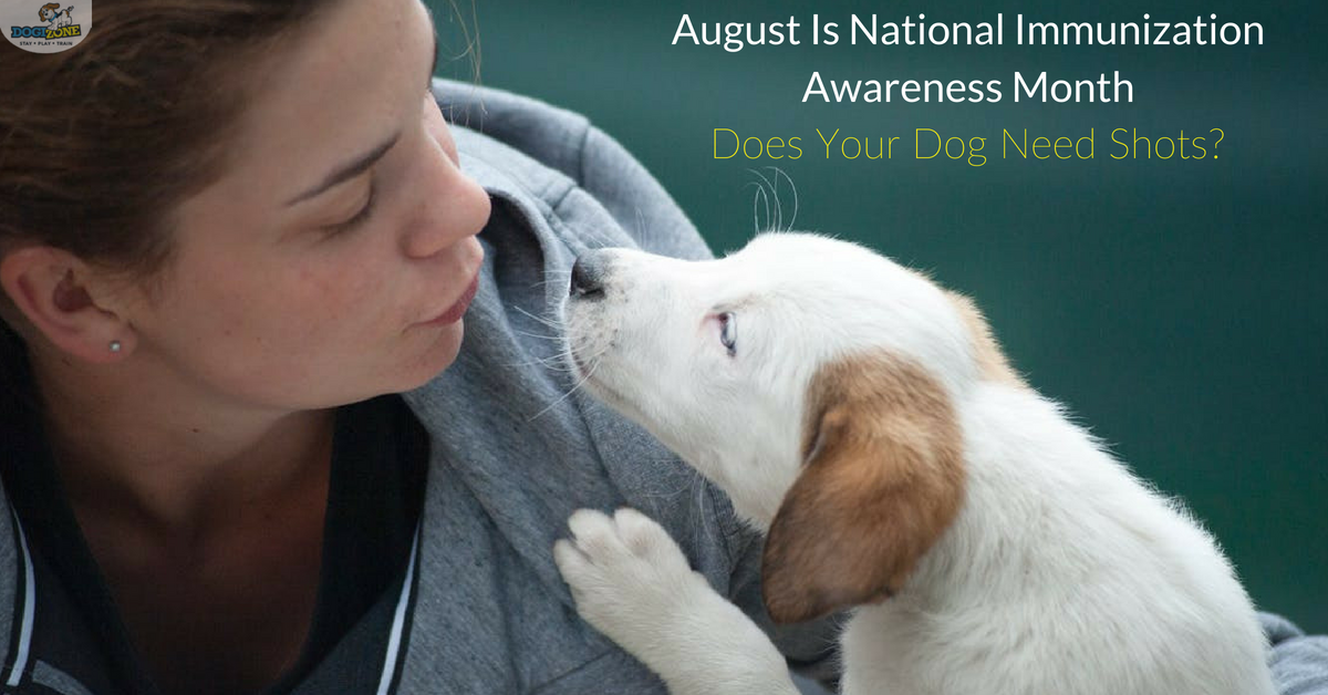 National Immunization Awareness Month National Immunization Awareness Month