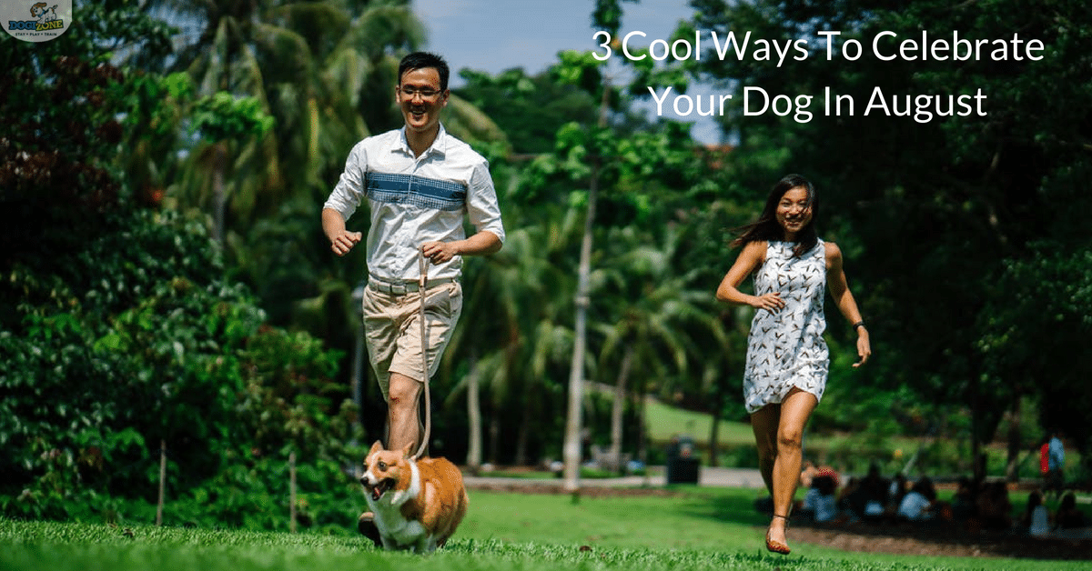 celebrate your dog celebrate your dog