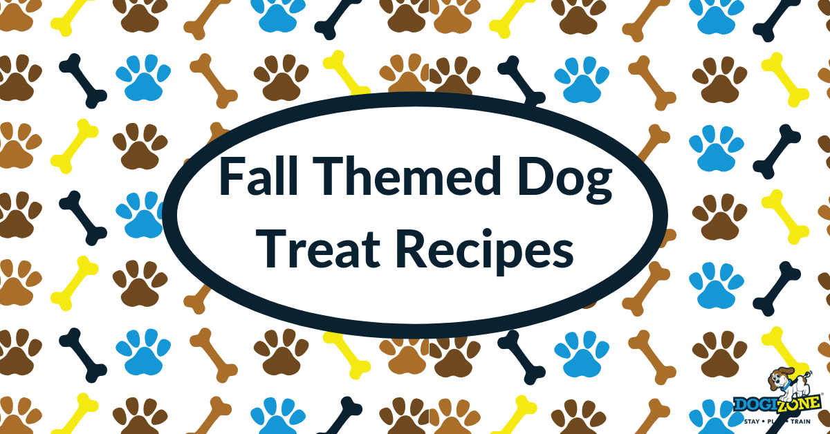 fall dog treat recipes