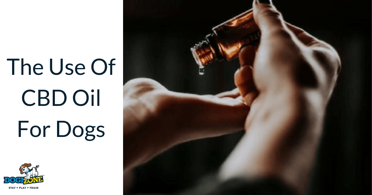 cbd oil for dogs cbd oil for dogs