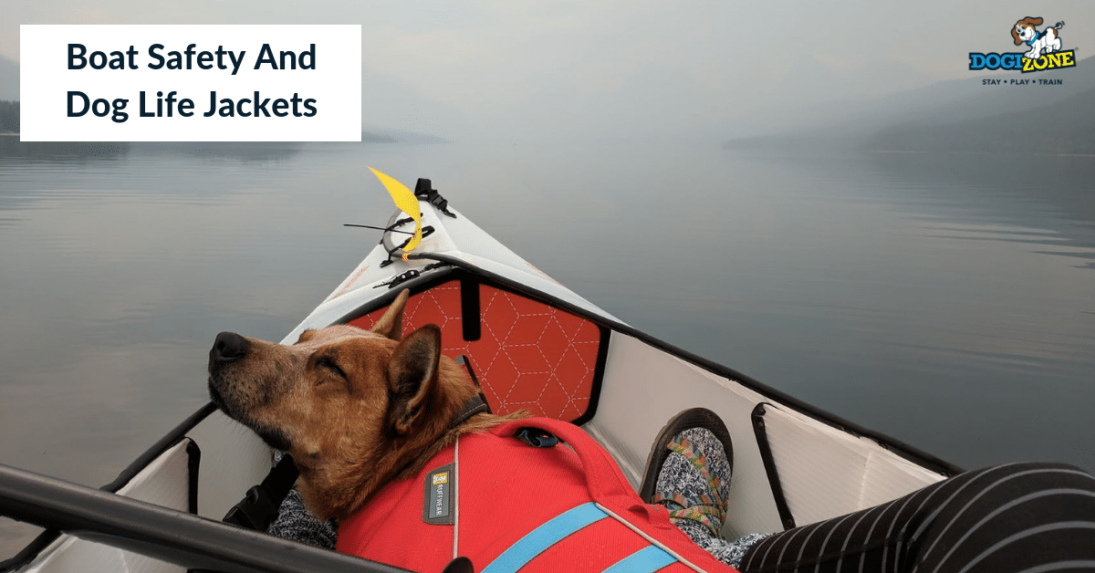 Boat safety for dogs