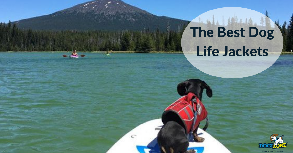 best life jackets for dogs