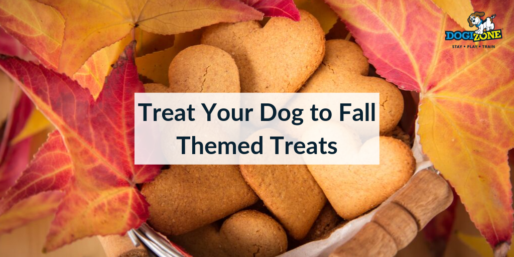 Dog friendly fall themed treats