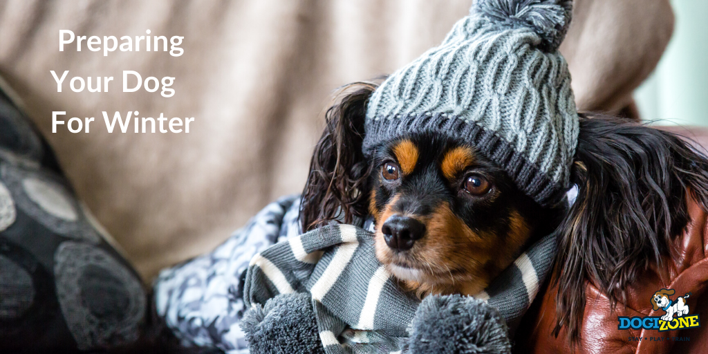 Preparing your dog for winter weather