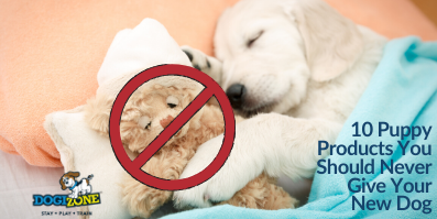 10 Puppy Products You Should Never Give Your New Dog