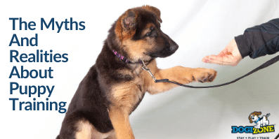 The Myths And Realities About Puppy Training