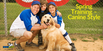 Spring Training – Canine Style