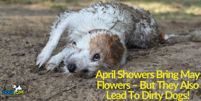 April Showers Bring May Flowers – But They Also Lead To Dirty Dogs!