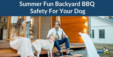 Summer Fun Backyard BBQ Safety For Your Dog