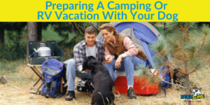 Preparing A Camping Or RV Vacation With Your Dog