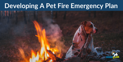 Developing A Pet Fire Emergency Plan