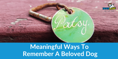 Meaningful Ways To Remember A Beloved Dog