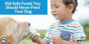 Feed Your Dog