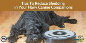 Reduce Shedding