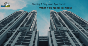 owning a dog in an apartment owning a dog in an apartment