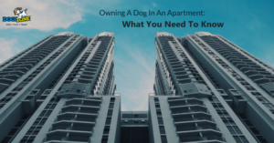 owning a dog in an apartment