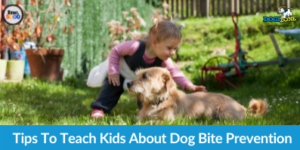 Tips To Teach Kids About Dog Bite Prevention