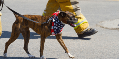 Dog with fireman - Pet Fire Safety Plans