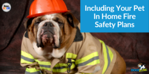 Including Your Pet In Home Fire Safety Plans