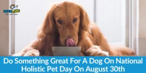 Do Something Great For A Dog On National Holistic Pet Day On August 30th