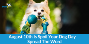 August 10th Is Spoil Your Dog Day – Spread The Word