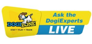 Ask the DogiExperts Live