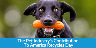Green Pet Companies Contribute to America Recycles Day