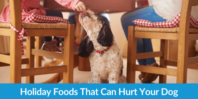 Holiday Foods That Can Hurt Your Dog