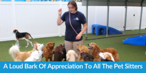 A Loud Bark Of Appreciation To All The Pet Sitters
