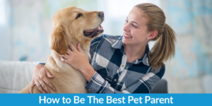How to Be The Best Pet Parent