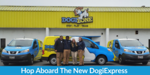 Hop Aboard The New DogiExpress 