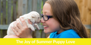 The Joy of Summer Puppy Love