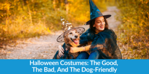 Pet Halloween Costumes: The Good, The Bad, And The Dog-Friendly