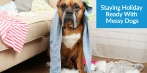 Staying Holiday-Ready With Messy Dogs