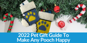 2022 Pet Gift Guide To Make Any Pooch Happy