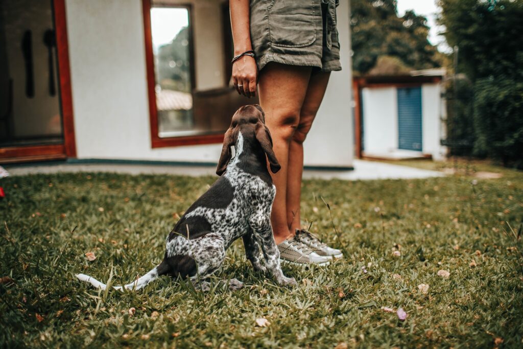 a dog sits at a woman's feet