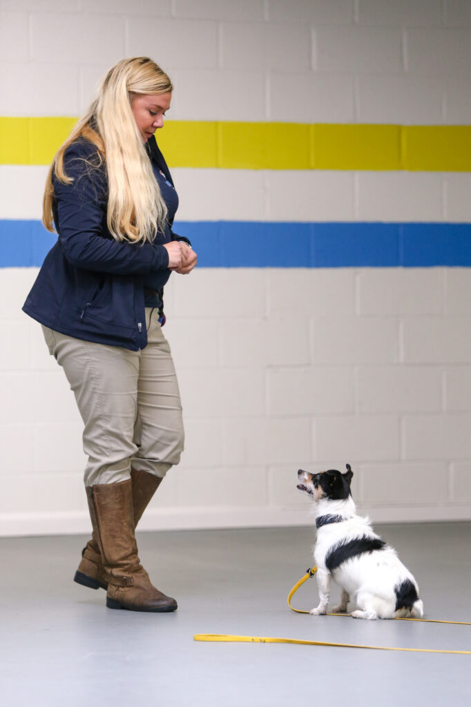 a woman is standing next to a small dog